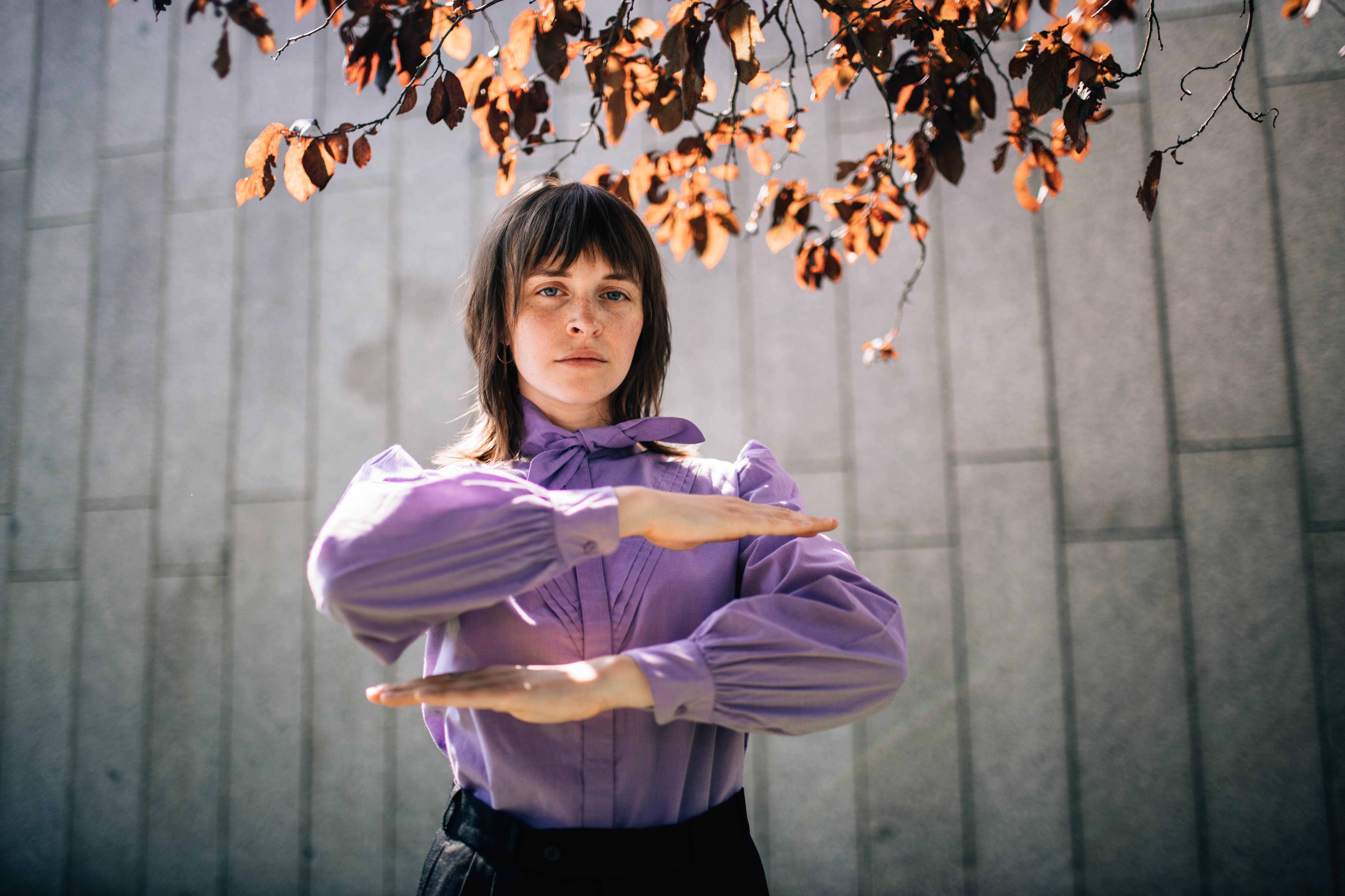 Торадора!: как визуальные образы усиливают эмоциональную глубину